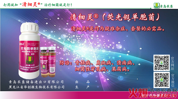 青島農(nóng)墾儲備進出口有限公司