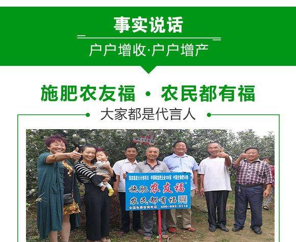 有機-無機摻混肥料20-15-15-撒有福-農友福