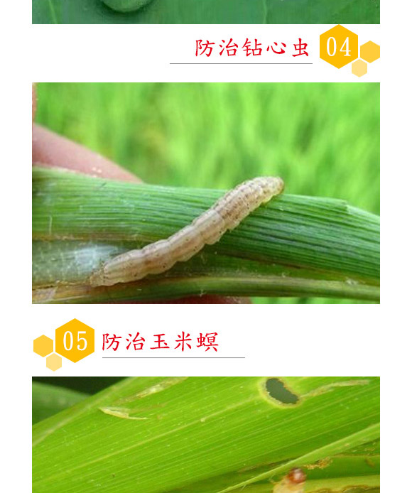 蘇云金桿菌懸浮劑-耕田人-潤(rùn)倍生物