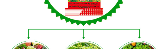 多元素配方摻混肥料20-12-18-農(nóng)?？?農(nóng)友福