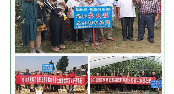 多元素配方摻混肥料20-12-18-農(nóng)?？?農(nóng)友福