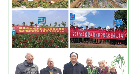 多元素配方摻混肥料20-12-18-農(nóng)?？?農(nóng)友福