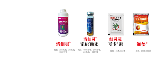 熒光假單細(xì)胞-細(xì)靈靈可卡素-農(nóng)墾
