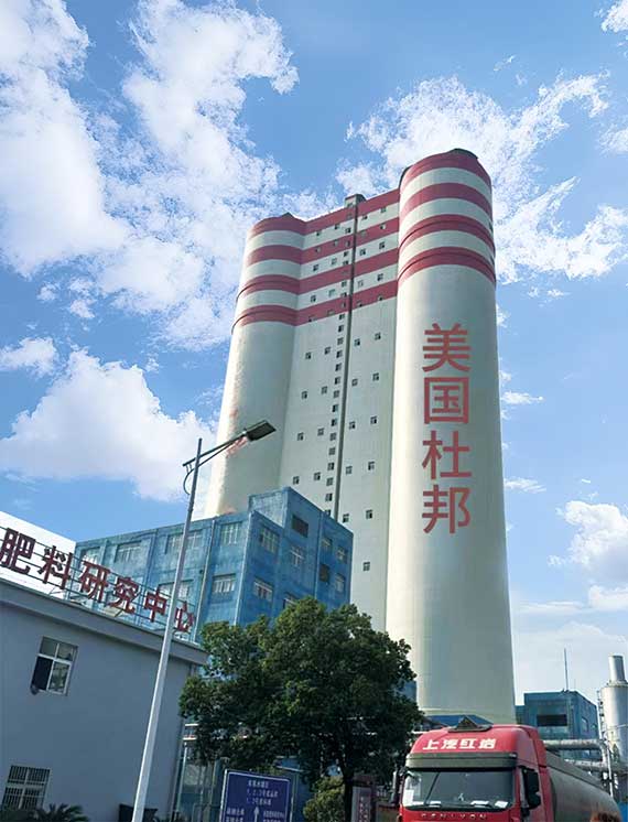 緹庡浗鏉滈偊.jpg