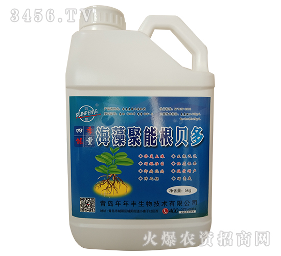 海藻聚能根貝多-年年豐