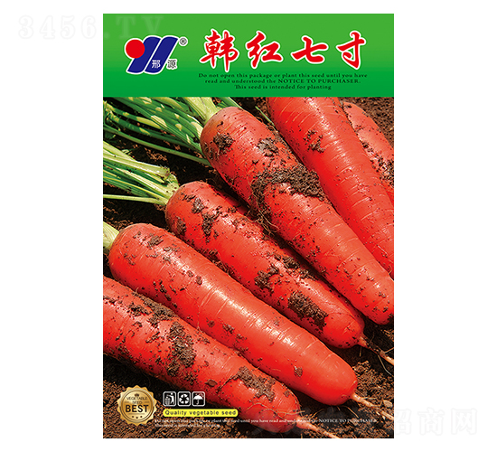 韓紅七寸-蘿卜種子-邢源農業(yè)