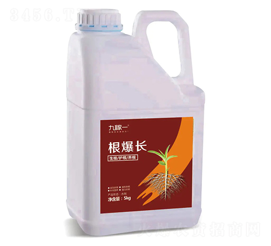 根爆長-九稼一