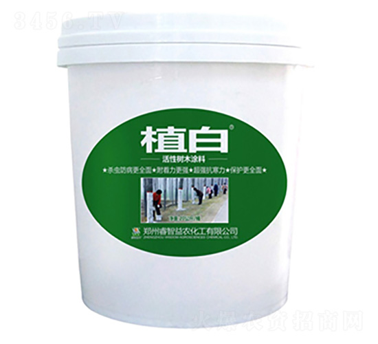 20公斤植白活性樹(shù)木涂料-睿智益農(nóng)