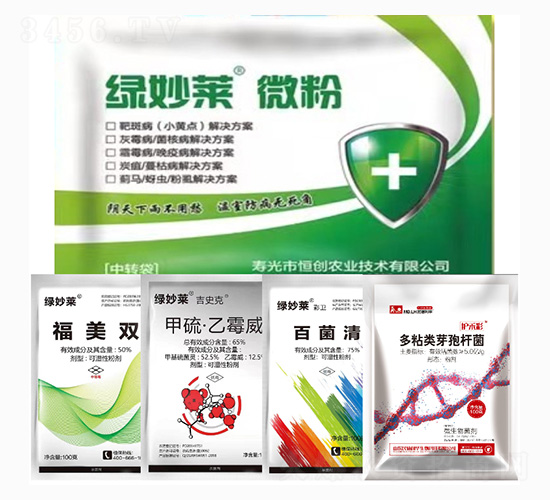 綠妙萊微粉-灰霉菌核病解決方案-民德利華