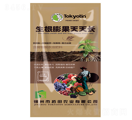 生根膨果天天長-拓田農業(yè)