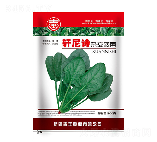 軒尼詩雜交菠菜-菠菜種子-吉豐種業(yè)
