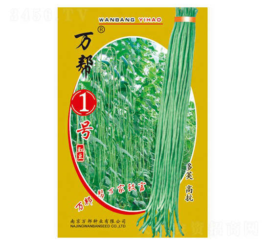 萬幫1號(hào)豇豆種子-萬邦種業(yè)