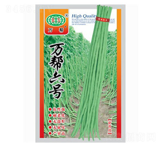 萬幫六號-豇豆種子-萬邦種業(yè)