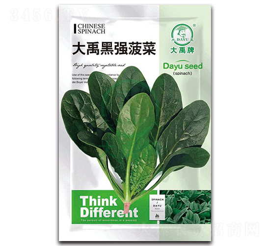大禹黑強(qiáng)菠菜種子-大禹種業(yè)
