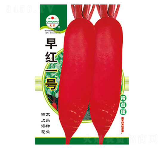 蘿卜種子-早紅一號(hào)-太樂種業(yè)