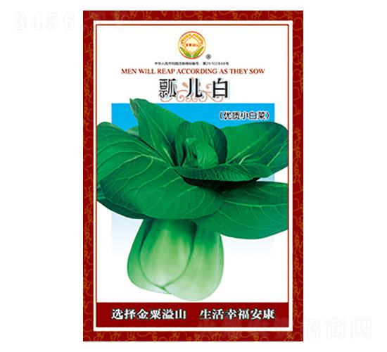 白菜種子-瓢兒白-太樂(lè)種業(yè)