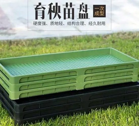 育苗秧盤(pán)-輝遠(yuǎn)科技