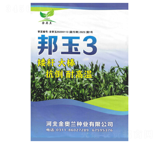邦玉3號(hào)-玉米種子-秦豐種業(yè)
