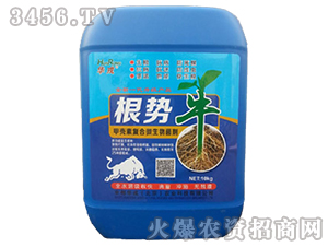 甲殼素復(fù)合微生物菌劑-根勢牛-京都華戎
