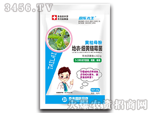 黃枯母粉地衣·細黃鏈霉菌-愈樂先生-泰來國際