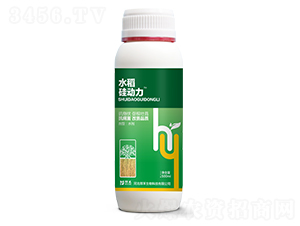 水稻硅動(dòng)力-厚禾生物