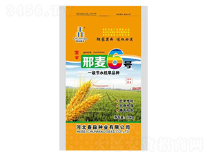 邢麥6號(hào)-春淼種業(yè)