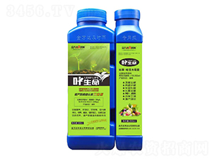 枯草·哈茨木霉菌-葉生命-金萬達(dá)及時(shí)雨