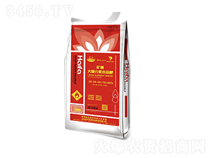 礦源大量元素水溶肥20-20-20+TE-倍豐鹽湖