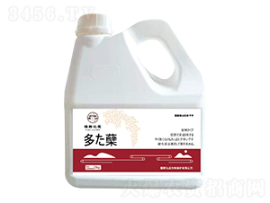 多蘗（水稻分蘗增穗增產）-藤野化成