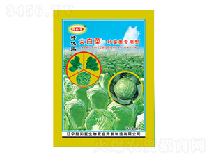 大白菜葉菜類(lèi)專(zhuān)用型-甜如蜜