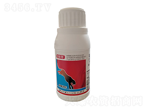 50%噻蟲(chóng)吡蚜酮-億農(nóng)高科