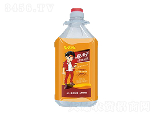 平衡型含腐殖酸水溶肥-根小子-愛(ài)普達(dá)
