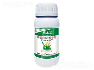 水稻生根專(zhuān)用-爆米花-億美生物