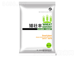 生長調節(jié)劑-矮壯豐-方舟農業(yè)