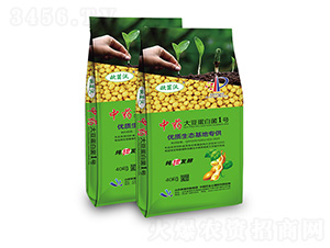 中藥·大豆蛋白菌1號-歐菌集團(tuán)