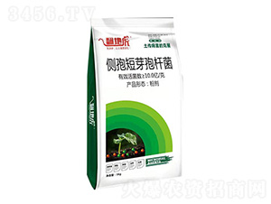 側(cè)孢短芽孢桿菌（1kg）-翻地虎-碩達