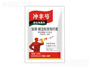 沖豐號(hào)-碩達(dá)
