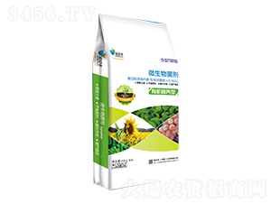 有機(jī)營(yíng)養(yǎng)型微生物菌劑-諾貝豐