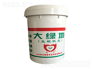 大綠地（生根狀元）-錦程農業(yè)