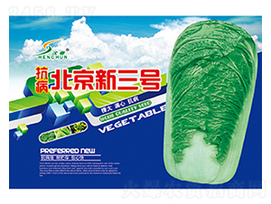 抗病北京新三號-白菜種子-豐華種業(yè)