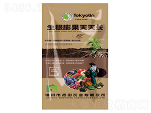 生根膨果天天長-拓田農業(yè)