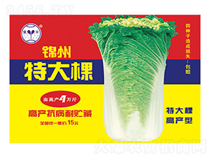 錦州特大棵-科星