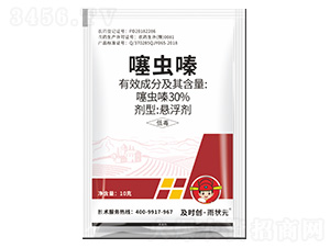 30%噻蟲嗪懸浮劑-及時(shí)創(chuàng)·雨?duì)钤?及時(shí)雨