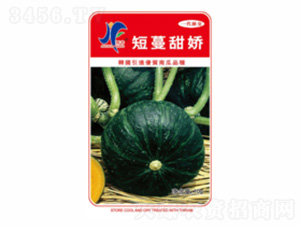 短蔓甜嬌-晉豐-德盛豐