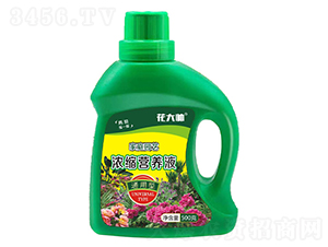 通用型濃縮營(yíng)養(yǎng)液-花大帥-綠沃肥業(yè)