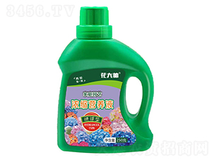 繡球型濃縮營養(yǎng)液-花大帥-綠沃肥業(yè)