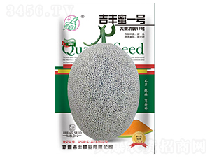 吉豐蜜一號(hào)-甜瓜種子-吉豐種業(yè)