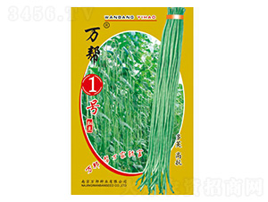 萬幫1號(hào)豇豆種子-萬邦種業(yè)