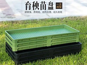 育苗秧盤(pán)-輝遠(yuǎn)科技