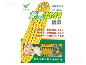 龍墾1141-玉米種子-秦豐種業(yè)